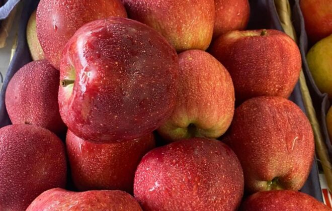 Produce Apple Vaughans