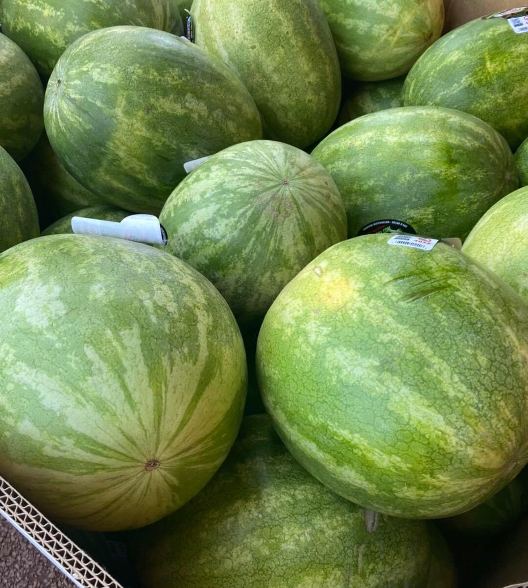 Produce Watermelon Vaughans