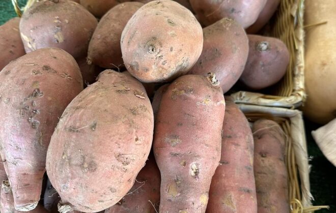 Sweet potatoes