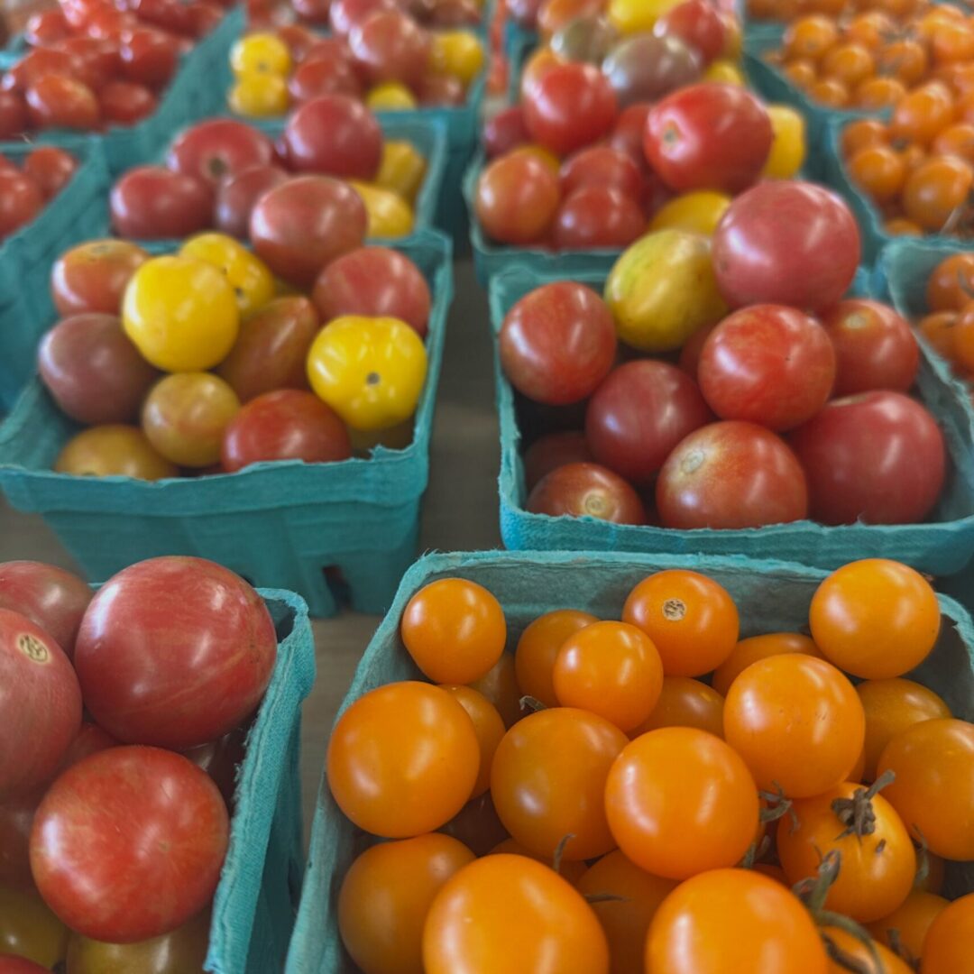 Cherry Tomatoes Cherry Tomatoes