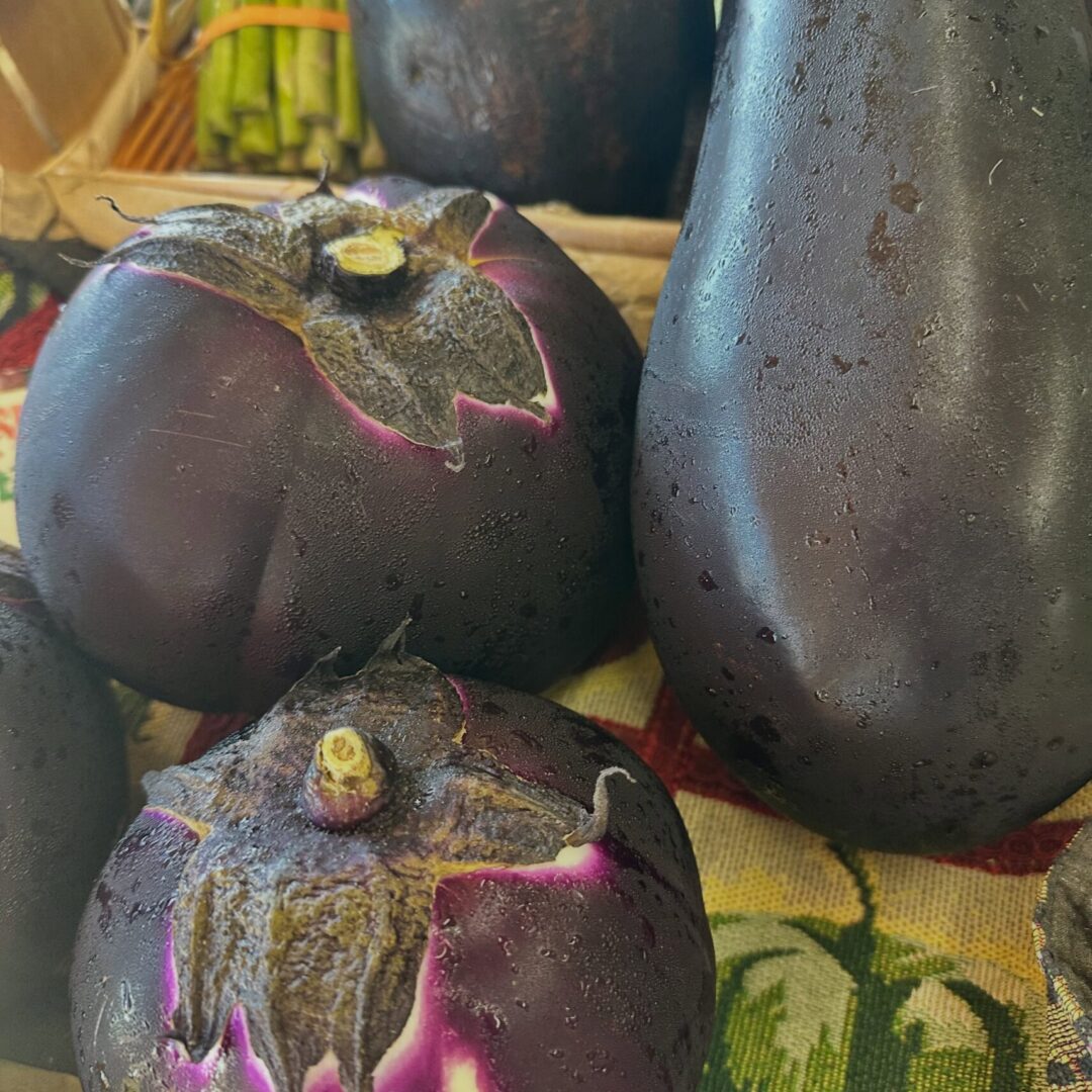Eggplant Eggplant
