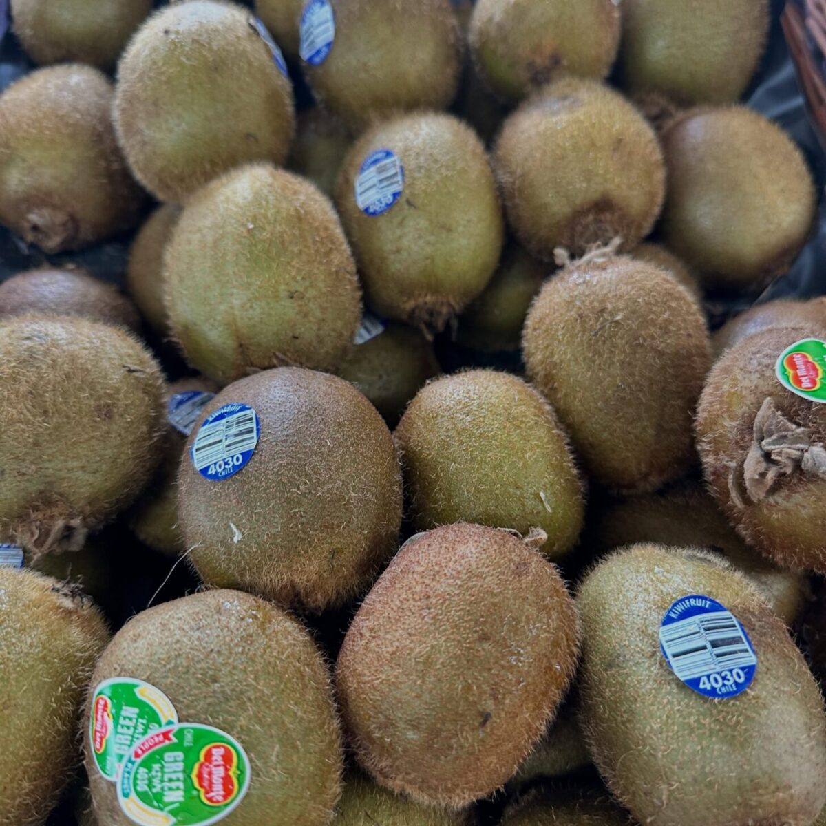 kiwi kiwi